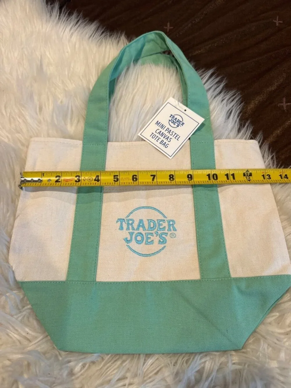 NWT Trader Joe’s Mini Pastel Canvas Tote Bag Mint Green Reusable 2035